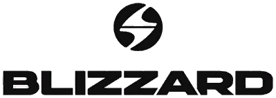 Logo Blizzard
